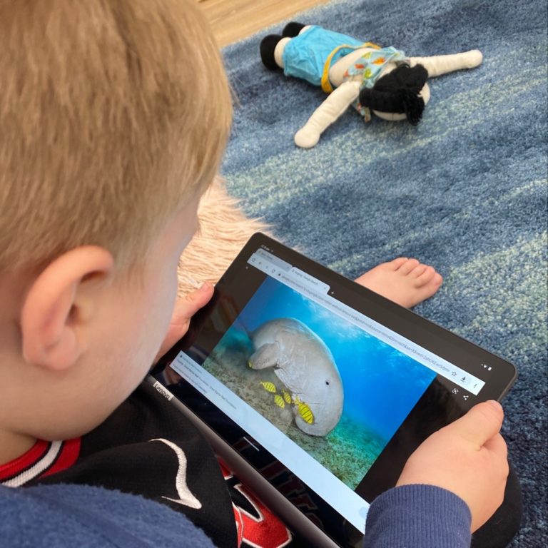 Sonas Atwell – Exploring Sea Creatures