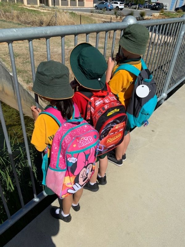 Sonas Wattle Grove – School Run – Investigating our Environments