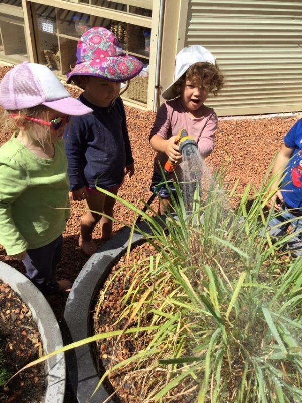 Sonas Coolbellup –  Caring For Our Garden!