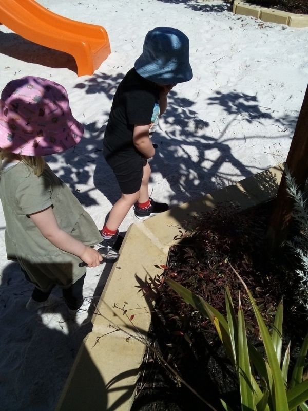 sonas-wanneroo-bug-hunt (7)