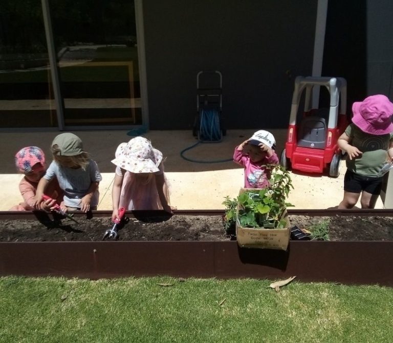 Sonas Wanneroo – Making our Garden Grow!