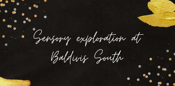 Sonas Baldivis South – Sensory Exploration In The Nest 