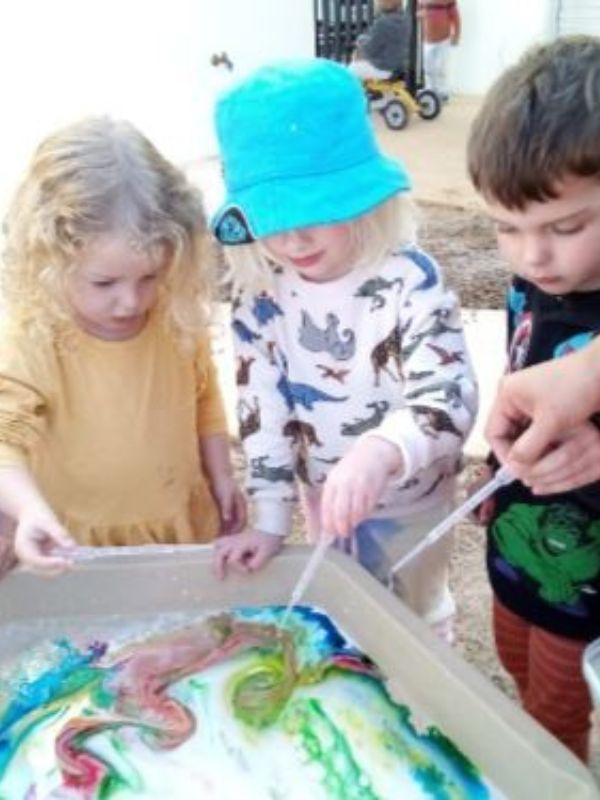 sonas-baldivis-south