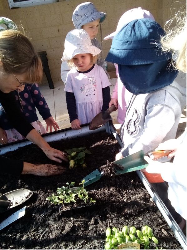 Sonas Bayswater – Creating our Vegetables Gardens