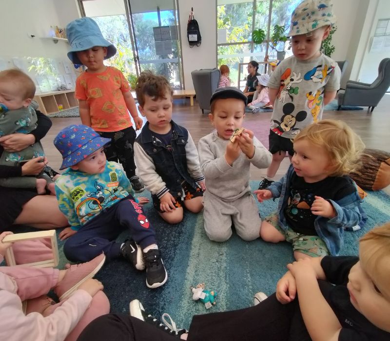 sonas-wattlegrove-sinkfloat (19)