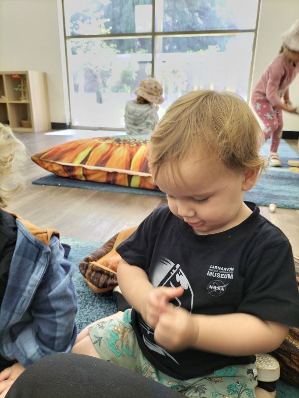 sonas-wattlegrove-sinkfloat (4)