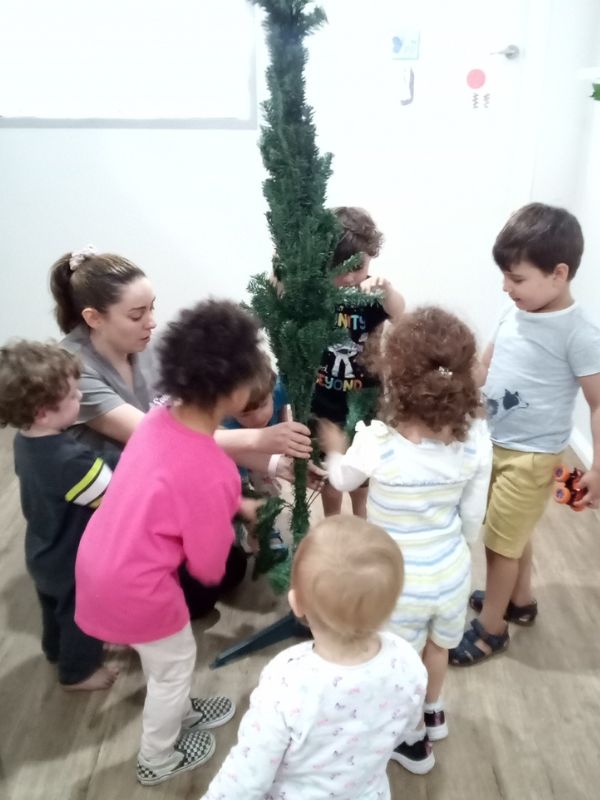 Sonas Ardross – Christmas Tree 