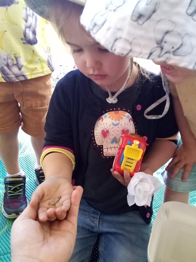 Silkworm cycle captivates children at Sonas Bayswater