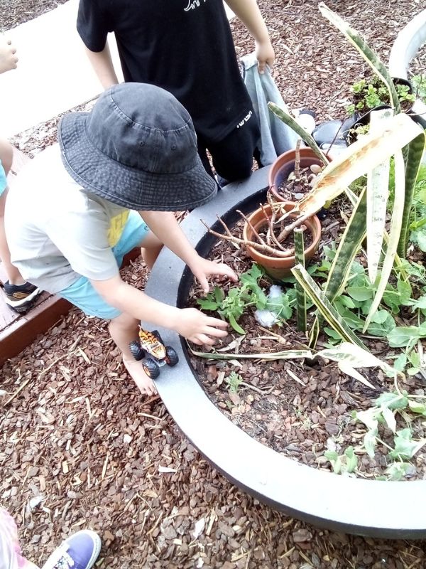 Sonas Coolbellup – Growing Fruit and Vegetables 