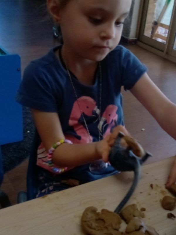 sonas-huntingdale-dinosaur-world (2)