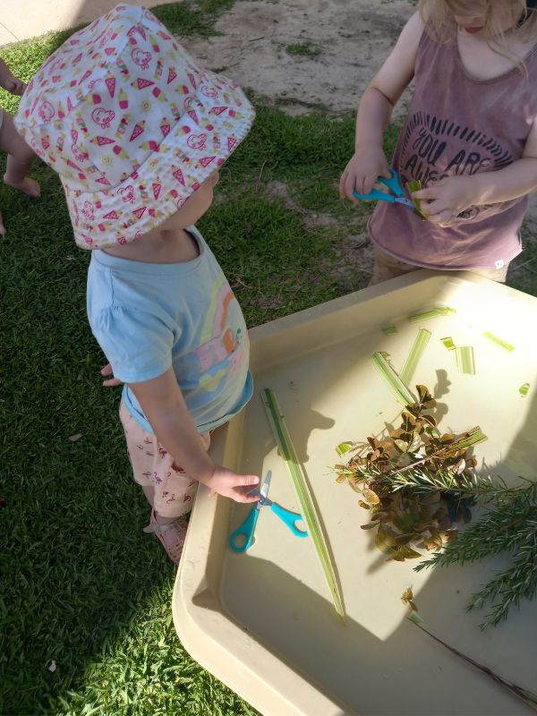 sonas-midland-tree-curring