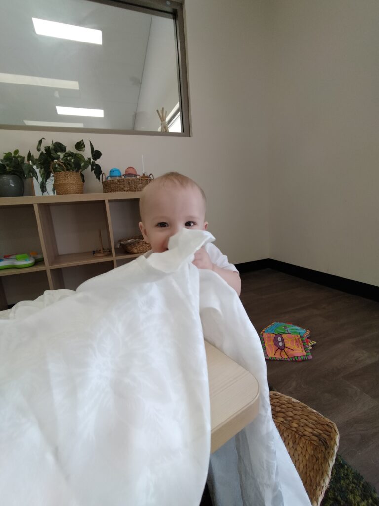 sonas-wattlegrove-peek-a-boo10