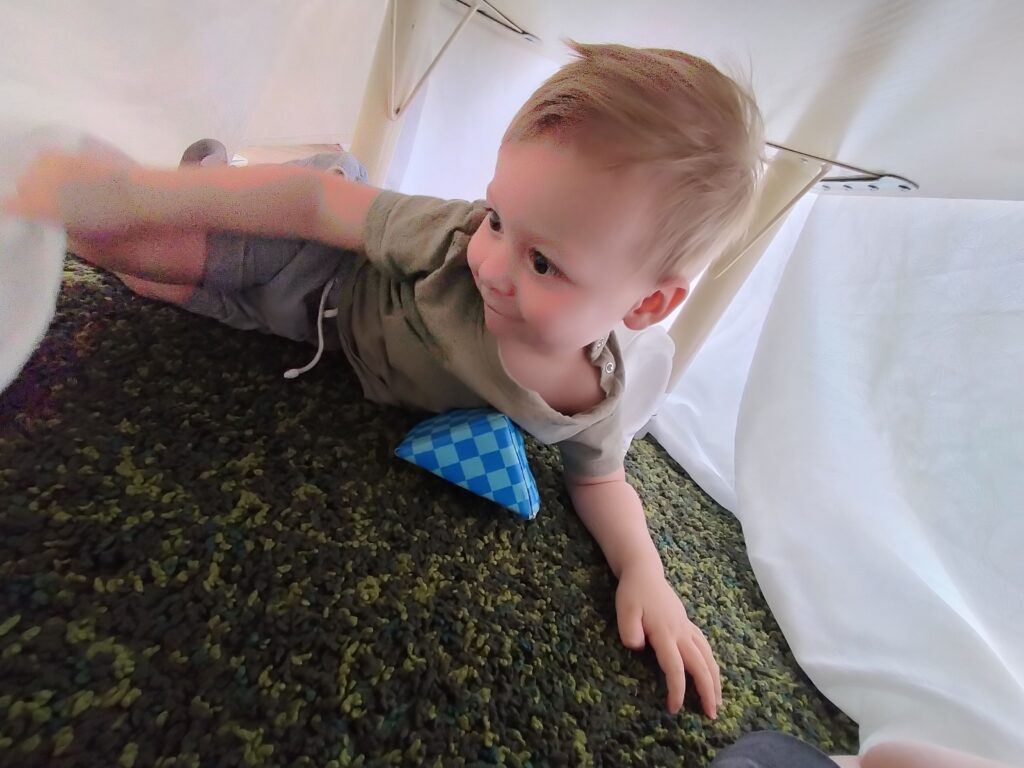 sonas-wattlegrove-peek-a-boo12