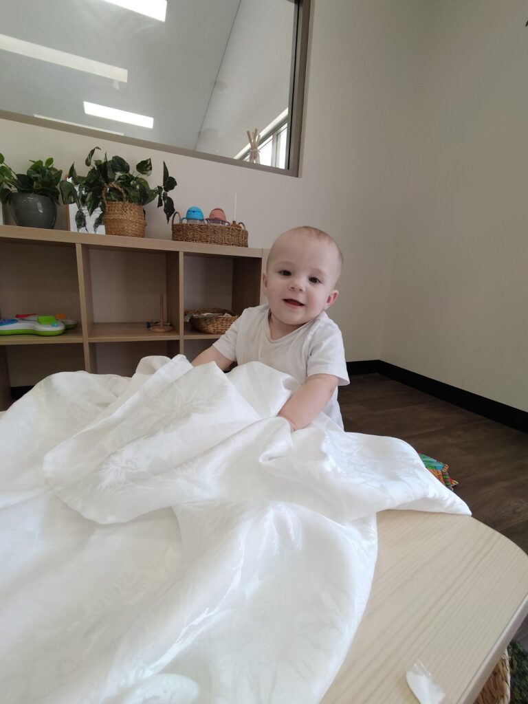 sonas-wattlegrove-peek-a-boo8