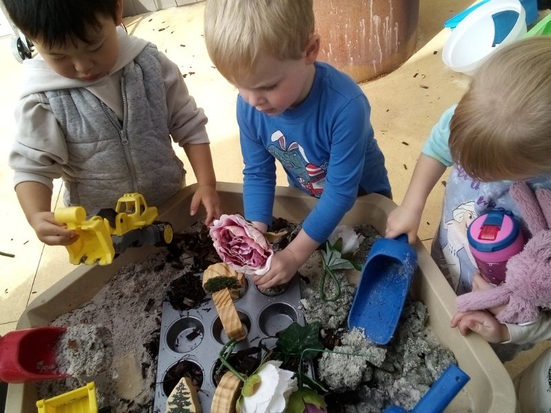 sonas-ardross-gardening (5)