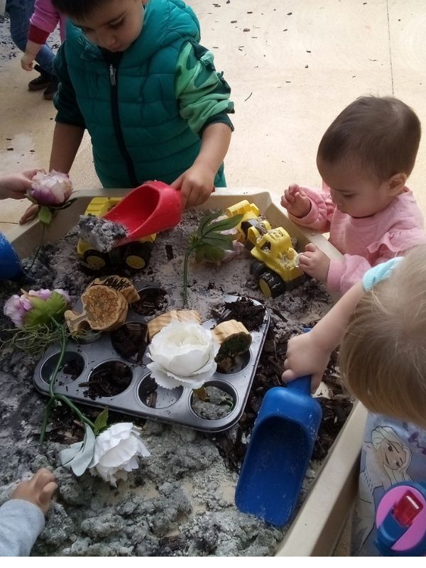 sonas-ardross-gardening