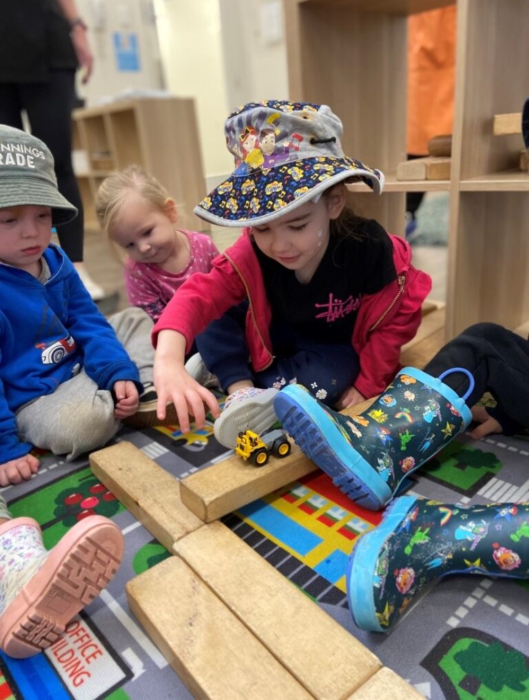 Sonas Wattle Grove – Building and Hypothesising 