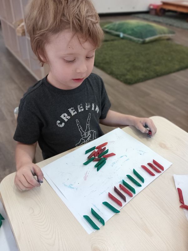 sonas-wattlegrove- Numeracy – Patterns (10)