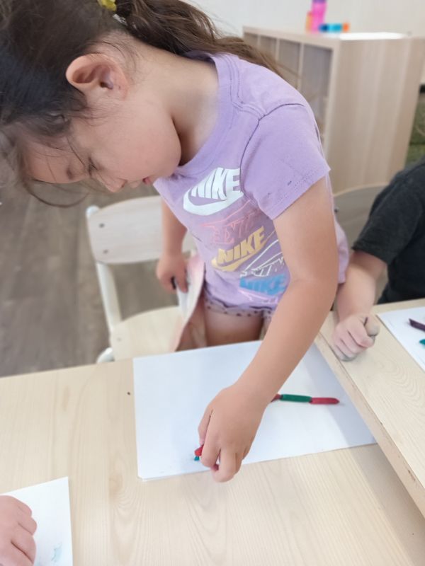 sonas-wattlegrove- Numeracy – Patterns (19)