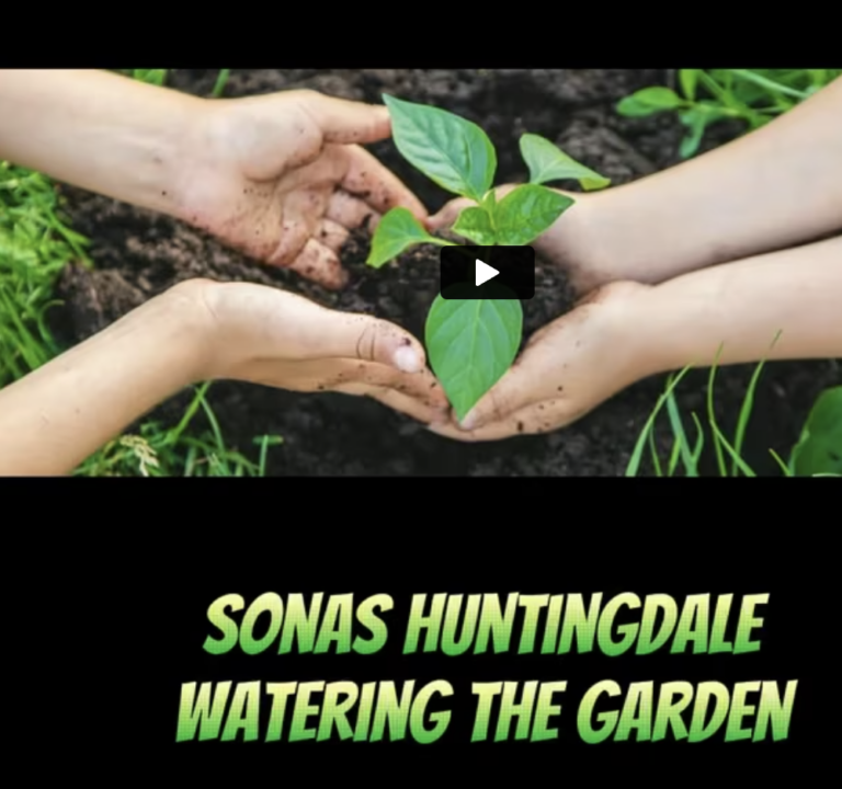 Dive into the Joy of Garden Watering at Sonas Early Learning & Care Huntingdale 🌱