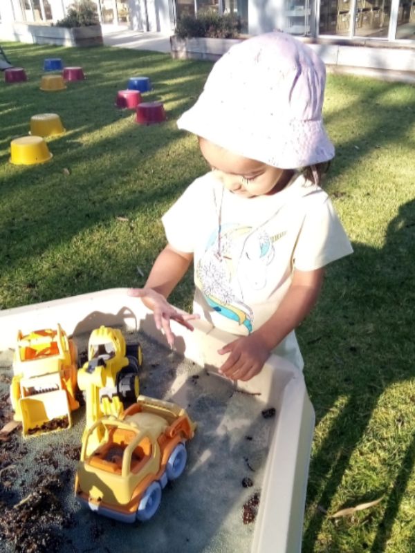 sonas-brabham-chia-seed-goop (1)