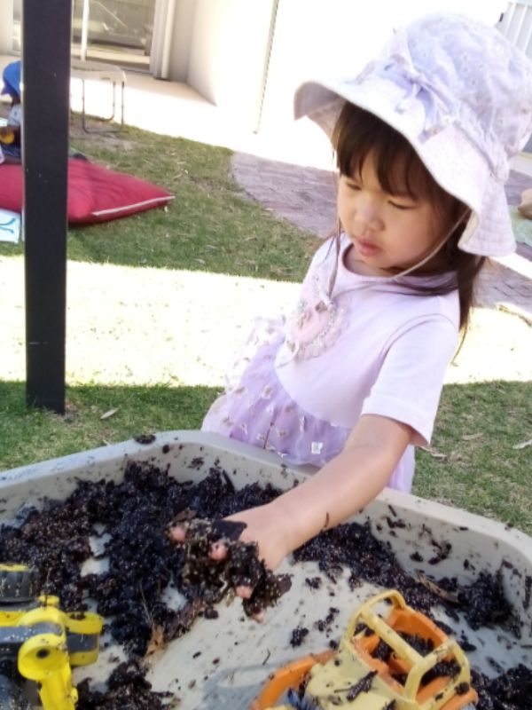 sonas-brabham-chia-seed-goop (10)