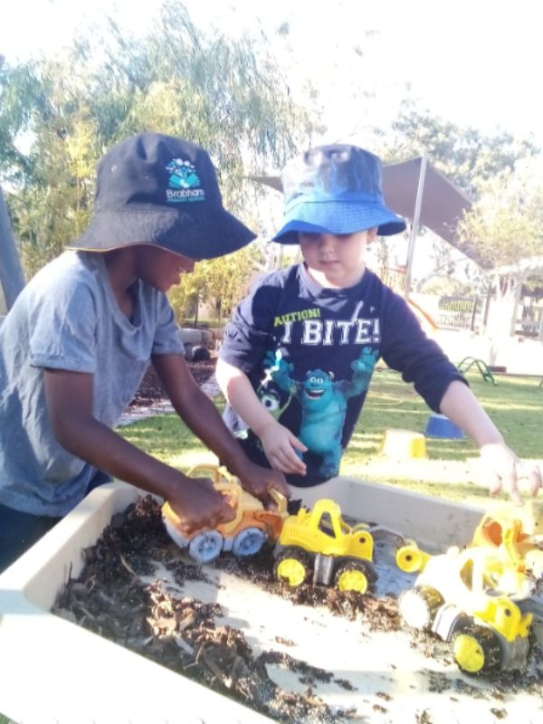 sonas-brabham-chia-seed-goop (2)