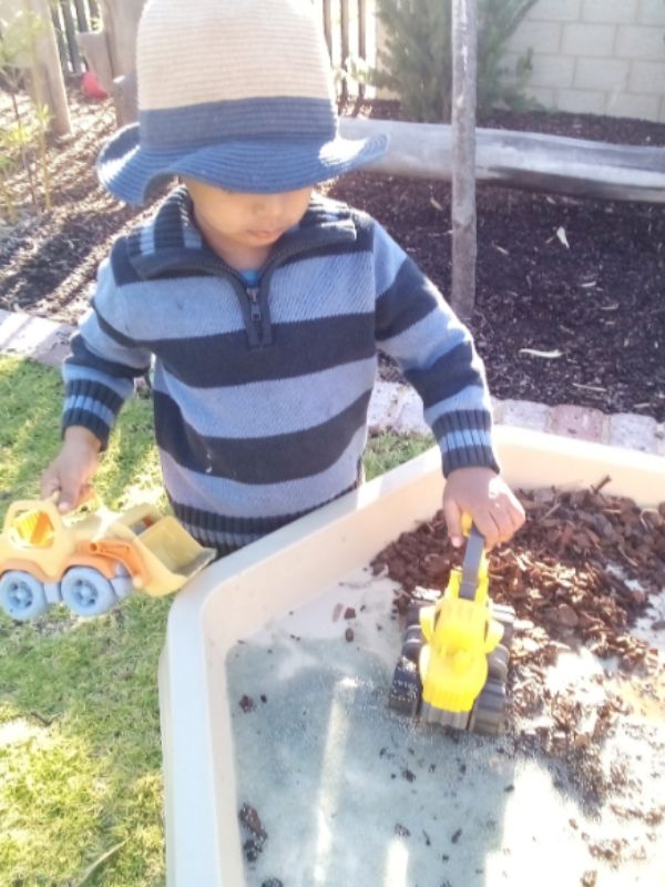 sonas-brabham-chia-seed-goop (3)