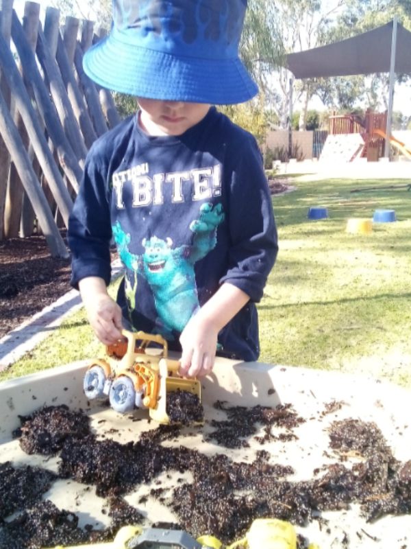 sonas-brabham-chia-seed-goop (4)