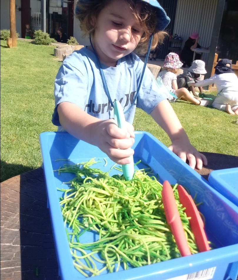 sonas-gosnells-messy-sensory-trays.2