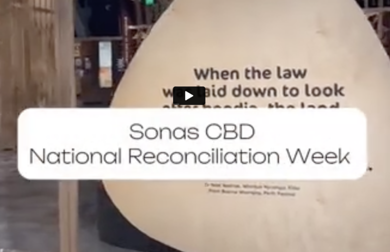 Sonas Perth CBD  – Reconciliation Week – Tree of Reconciliation     