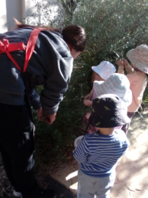 sonas-karrinyup-nature-hunt (1)