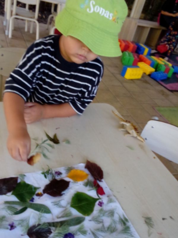 sonas-karrinyup-nature-hunt (10)