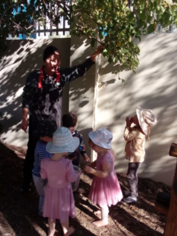 sonas-karrinyup-nature-hunt (2)