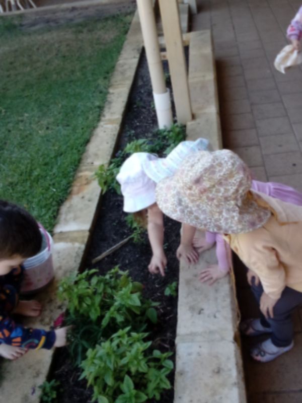 sonas-karrinyup-nature-hunt (4)