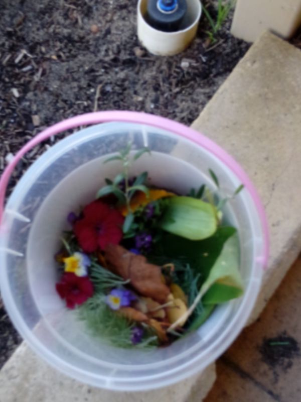 sonas-karrinyup-nature-hunt (5)