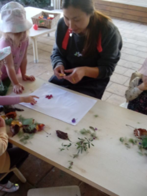 sonas-karrinyup-nature-hunt (8)