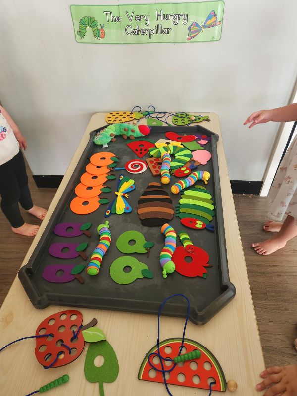 sonas-midland-hungry-little-caterpillar (8)