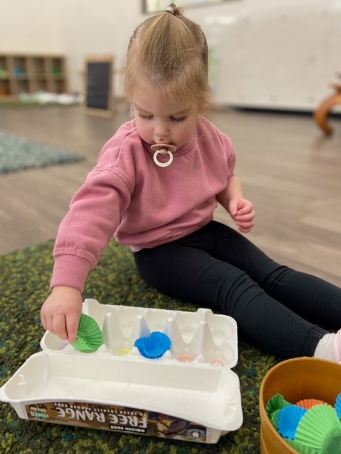 sonas-wattlegrove-colour-matching