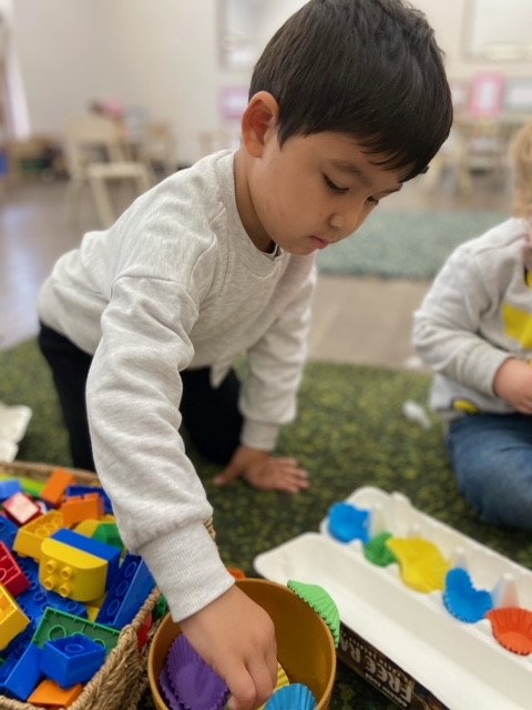 sonas-wattlegrove-colour-matching2