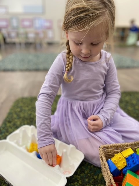 sonas-wattlegrove-colour-matching4