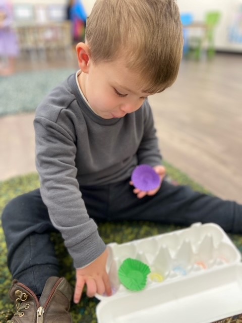 sonas-wattlegrove-colour-matching5