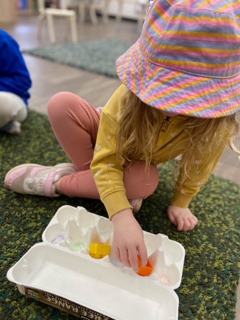 sonas-wattlegrove-colour-matching6